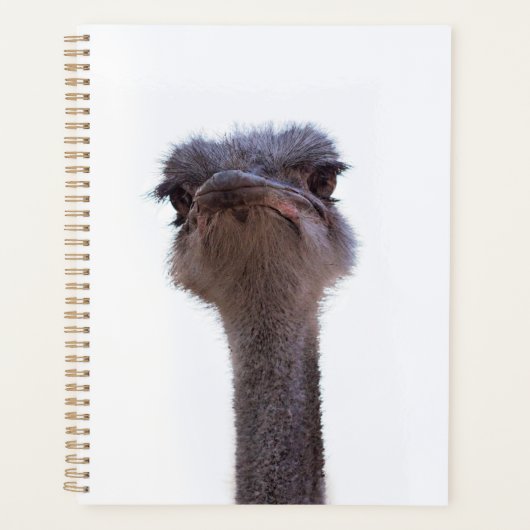 struisvogel planner (Voorkant)