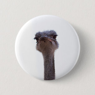 struisvogel ronde button 5,7 cm