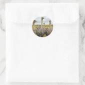 struisvogel ronde sticker (Tas)