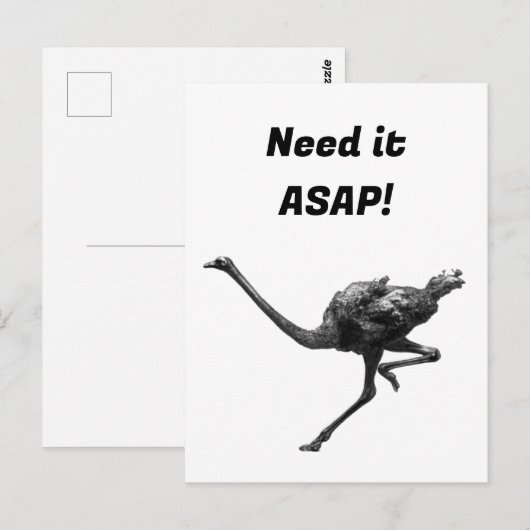 Struisvogel Running Cool Atleet Animal Art Briefkaart (Voorkant / Achterkant)