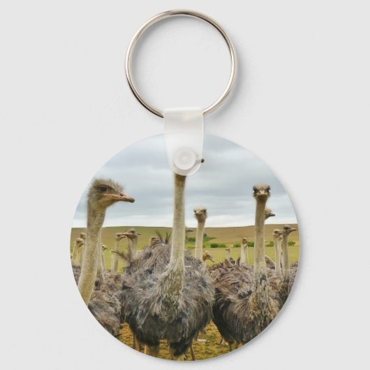 struisvogel sleutelhanger (Voorkant)
