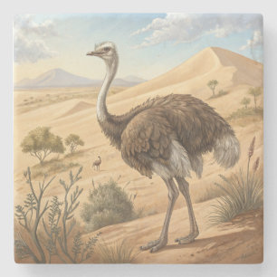 struisvogel stenen onderzetter