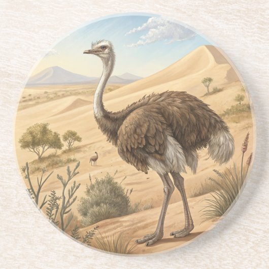 struisvogel zandsteen onderzetter (Voorkant)