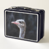Struisvogelfotografie (Achterkant)