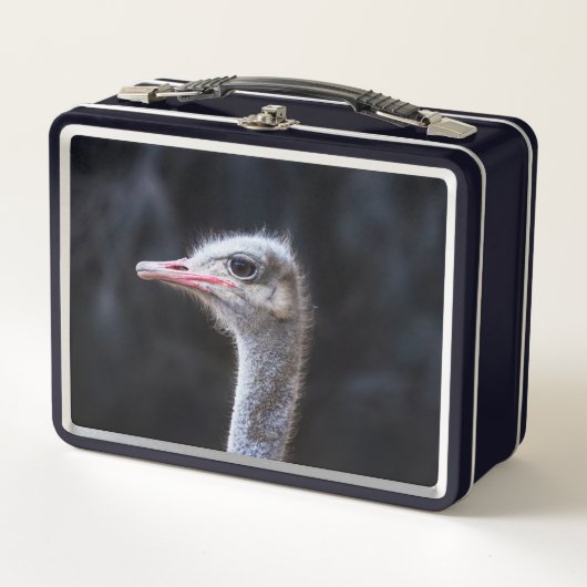 Struisvogelfotografie (Voorkant)