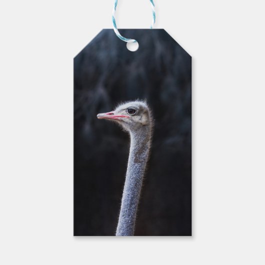 Struisvogelfotografie Cadeaulabel (Voorkant)