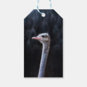 Struisvogelfotografie Cadeaulabel (Achterkant)