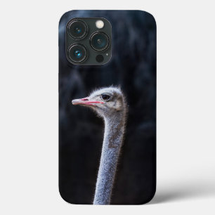 Struisvogelfotografie iPhone 13 Pro Hoesje