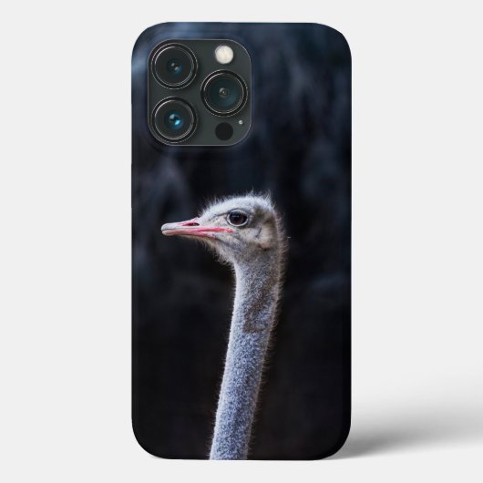 Struisvogelfotografie Case-Mate iPhone Case (Achterkant)