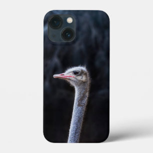 Struisvogelfotografie iPhone 13 Mini Hoesje