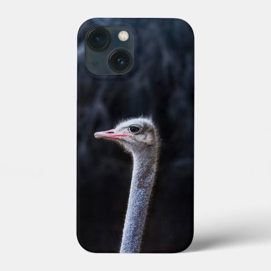 Struisvogelfotografie Case-Mate iPhone Case (Achterkant)