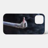 Struisvogelfotografie Case-Mate iPhone Case (Achterkant (horizontaal))