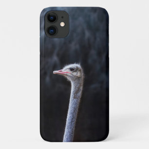 Struisvogelfotografie iPhone 11 Hoesje