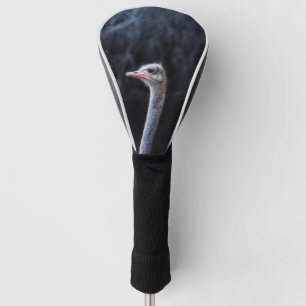 Struisvogelfotografie Golfheadcover