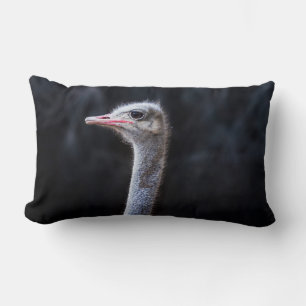 Struisvogelfotografie Kussen