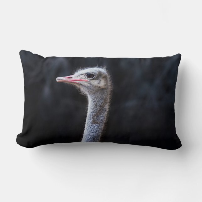Struisvogelfotografie Kussen (Voorkant)