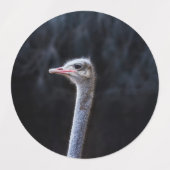 Struisvogelfotografie Labels (Design 2)