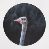 Struisvogelfotografie Labels (Design 1)