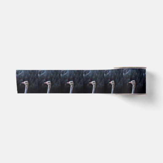 Struisvogelfotografie Lint (Voorkant)