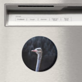 Struisvogelfotografie Magneet (Insitu (Vaatwasser))