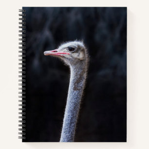 Struisvogelfotografie Notitieboek
