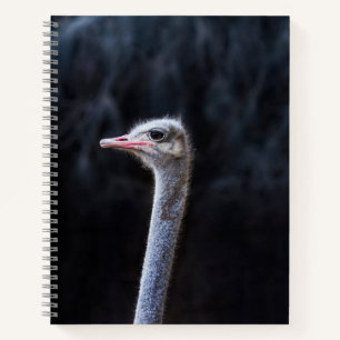 Struisvogelfotografie Notitieboek