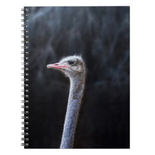 Struisvogelfotografie Notitieboek