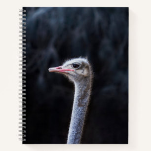 Struisvogelfotografie Notitieboek