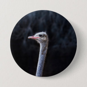 Struisvogelfotografie Ronde Button 7,6 Cm