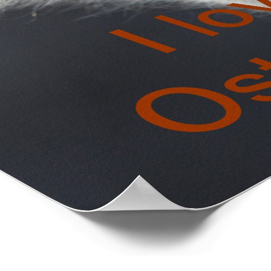 struisvogels poster (Hoek)