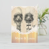 struisvogelstel - bleek oranje kaart (Staand voorkant)