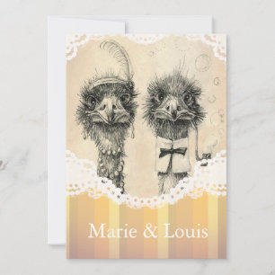 struisvogelstel - bleek oranje kaart