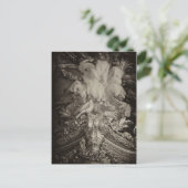 Struisvogelveren, het bed van Marie Antoinette. Briefkaart (Staand voorkant)