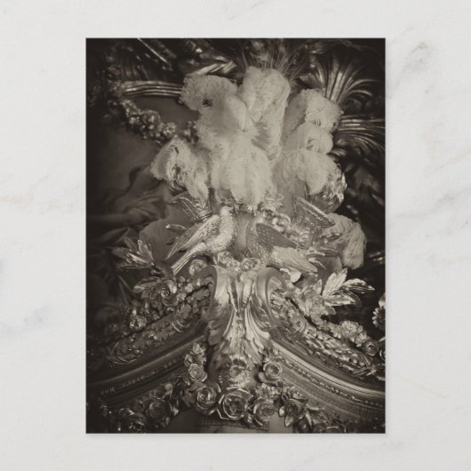 Struisvogelveren, het bed van Marie Antoinette. Briefkaart (Voorkant)