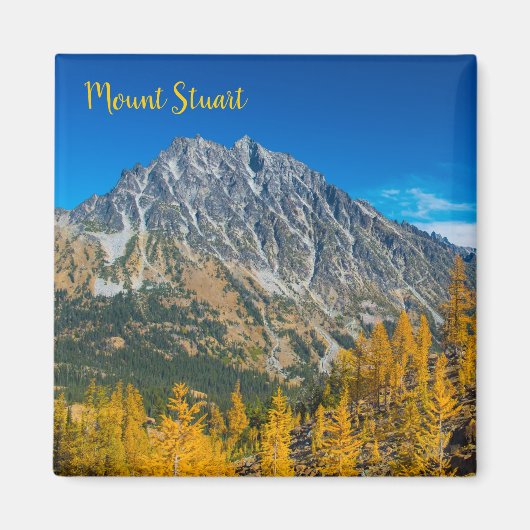 Stuart Autumn Larches monteren Magneet (Voorkant)