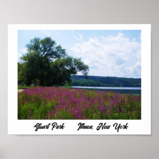 STUART PARK, ITHACA, NEW YORK poster