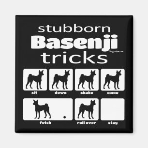 Stubborn Basenji Tricks Magneet