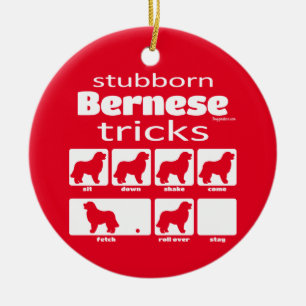 Stubborn Bernese Tricks Keramisch Ornament