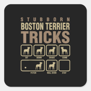 Stubborn Boston Terrier Tricks Hondenliefhebber T- Vierkante Sticker
