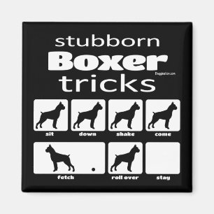 Stubborn Boxer Tricks Magneet
