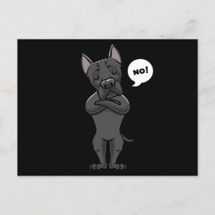 Stubborn Cane Corso Italiano Dog grappig Briefkaart