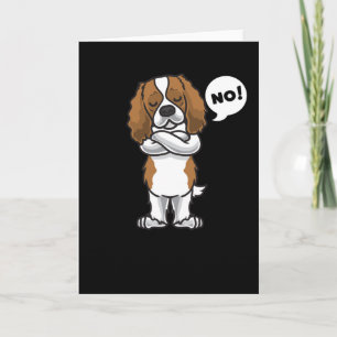 Stubborn Cavalier King Charles Spaniel Dog Kaart