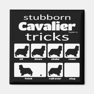 Stubborn Cavalier Tricks Magnet Magneet