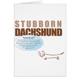 Stubborn Dachshund..WHATEVER!