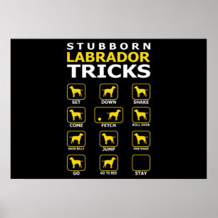 Stubborn Labrador Dog Tricks Funny Poster