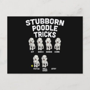 Stubborn Poodle Tricks Funny Dog Lover Owner Briefkaart