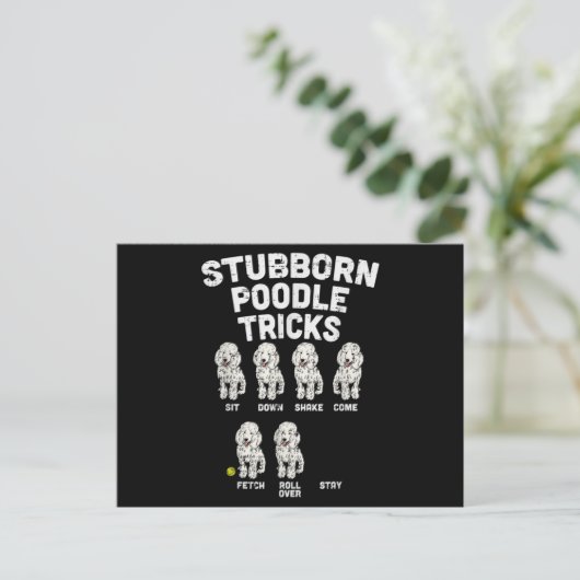 Stubborn Poodle Tricks Funny Dog Lover Owner Briefkaart (Staand voorkant)