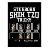 Stubborn Shih Tzu Dog Tricks Perfect Poster (Voorkant)