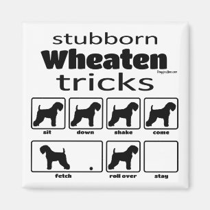 Stubborn Wheaten Tricks Magneet