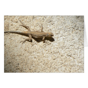 Stucco lizard card